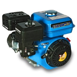 Двигатель Etalon GE 170 F Двигатель Etalon GE 170 F