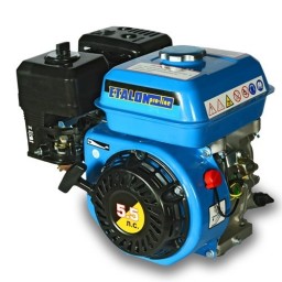 Двигатель Etalon GE 168 F Двигатель Etalon GE 168 F